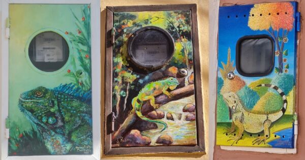 cajas eléctricas pintadas